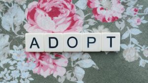 adopted